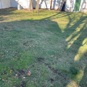 Leaf Removal by Bakers lawn service reviewed on July 25, 2022