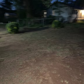 Leaf Removal by Metro Lawns, Inc reviewed on December 21, 2024