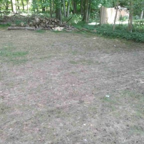 Landscaping by GUTI’S LANDSCAPING LLC reviewed on May 3, 2022