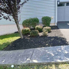 Flower Bed Weeding by Discount Mowing reviewed on July 19, 2025