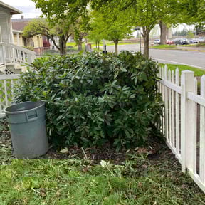 Bush Trimming by King-pierce lawn care reviewed on January 28, 2022