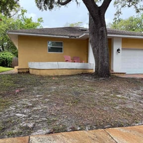 Leaf Removal by MDS Creations reviewed on June 8, 2022