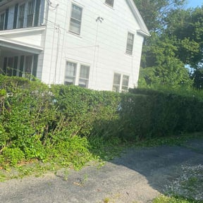 Bush Trimming by Black Creek Landscaping Service reviewed on June 27, 2022