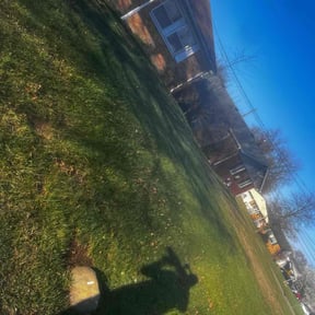 Leaf Removal by The Right Cuts reviewed on June 6, 2022