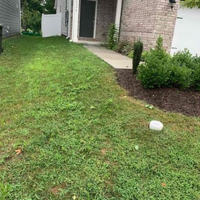Cleanups by Fisher's Yard Care reviewed on May 10, 2025