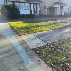 Leaf Removal by Jeff&#039;s Lawn service reviewed on June 14, 2022