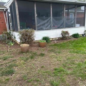 Bush Trimming by House of Beauty Lawn Care reviewed on May 9, 2022