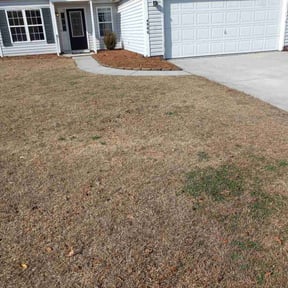 Leaf Removal by Bryan lawncare llc reviewed on August 7, 2024