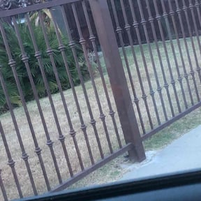 Landscaping by Texas Services SA reviewed on March 8, 2022