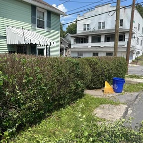 Bush Trimming by All Exclusive reviewed on October 31, 2021