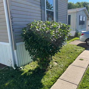 Flower Bed Weeding by Kick Grass Lawn Care reviewed on May 10, 2022