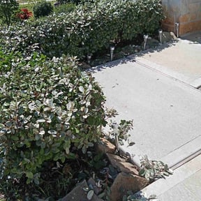 Bush Trimming by All Scapes Property Maintenance reviewed on March 25, 2025