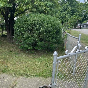 Bush Trimming by Stephenson's Landscaping reviewed on August 2, 2022