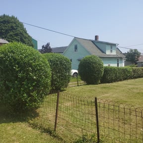 Bush Trimming by L&L Landscape Contractors LLC reviewed on July 19, 2022