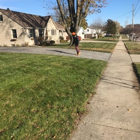 Leaf Removal by Finns landscaping reviewed on November 18, 2024