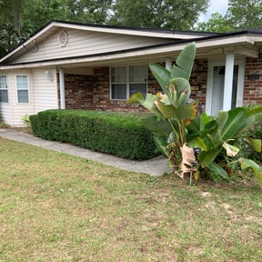 Bush Trimming by Aura lawn pros reviewed on June 12, 2022