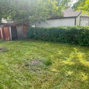 Bush Trimming by Nextdoor Lawn Services LLC reviewed on May 3, 2022