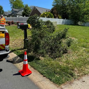 Bush Trimming by 3GUYSLAWNCARE reviewed on April 20, 2022