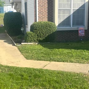 Bush Trimming by PJ's Lawn Care reviewed on June 21, 2022