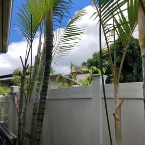 Leaf Removal by I4-75-95 connections LLC reviewed on August 9, 2022