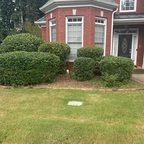 Bush Trimming by Clyde's outdoor pros reviewed on June 28, 2025