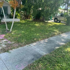 Cleanups by Coastal Landscape Solutions reviewed on October 4, 2022