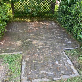 Flower Bed Weeding by Fresh Views Lawn Service reviewed on September 24, 2021
