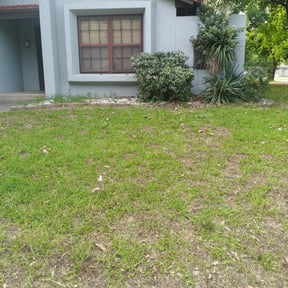 Bush Trimming by Gardner 3 Tools reviewed on August 4, 2025