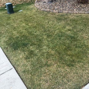Leaf Removal by BOs Custom Lawns LLC reviewed on April 24, 2025