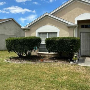 Bush Trimming by Lewis Lawn solutions reviewed on July 21, 2025