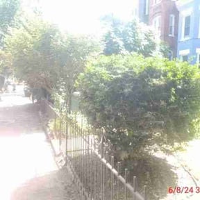 Cleanups by Krenik lawn services reviewed on October 24, 2024
