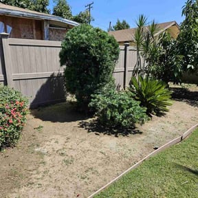 Bush Trimming by Sac lawn care services reviewed on March 31, 2025