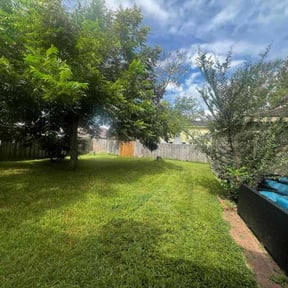 Cleanups by The goats landscaping and more reviewed on November 16, 2022