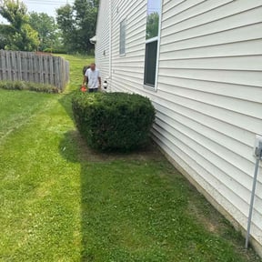Bush Trimming by Rody & Mel's Landscaping reviewed on May 24, 2022