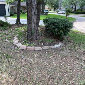 Cleanups by David landscaping services reviewed on March 22, 2025