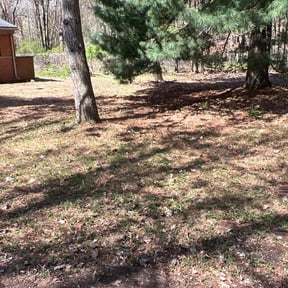 Leaf Removal by Terry and Family Management LLC reviewed on July 27, 2022