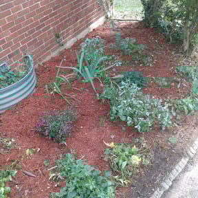 Flower Bed Weeding by National preservation and REO services reviewed on May 3, 2022