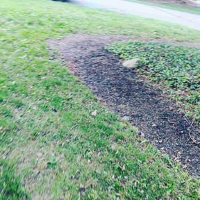 Flower Bed Weeding by Kingdom Creations reviewed on April 7, 2025