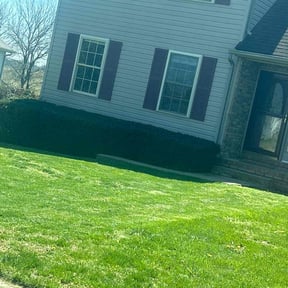 Bush Trimming by Mowing and landscaping reviewed on May 2, 2025