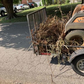 Cleanups by limpiezas Irving reviewed on June 23, 2025