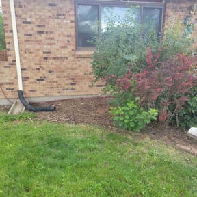 Cleanups by Otto lawnmower reviewed on October 12, 2021