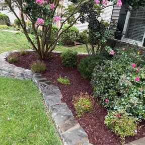 Mulching by Solidlawncare reviewed on June 27, 2022