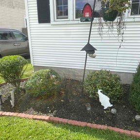 Bush Trimming by Elysian Lawn Care LLC reviewed on June 23, 2022