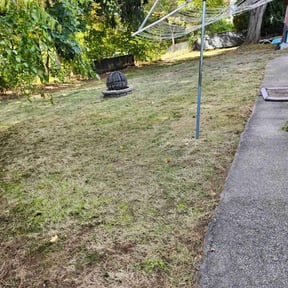 Leaf Removal by Adams Paiz reviewed on October 28, 2021
