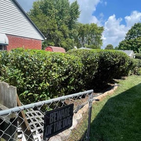 Bush Trimming by Westveld Mowing reviewed on June 23, 2022
