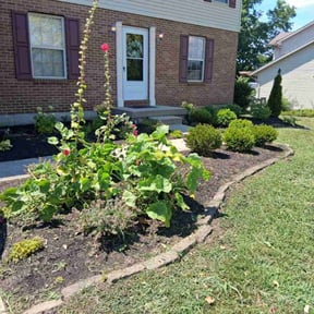 Flower Bed Weeding by Herbaloutions reviewed on November 8, 2022
