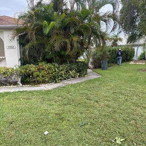 Bush Trimming by SFL Property Services reviewed on June 24, 2023
