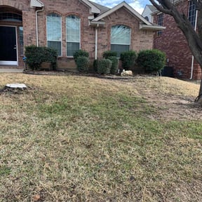 Leaf Removal by Tovar Landscaping reviewed on March 14, 2025