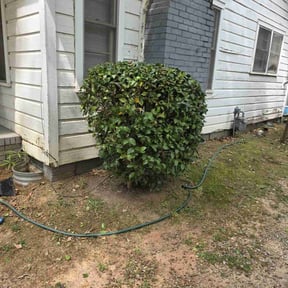 Bush Trimming by L&J Investment Properties reviewed on May 18, 2022