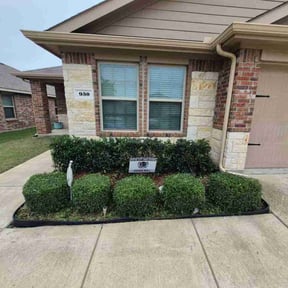 Bush Trimming by Tejanos lawn&amp;Landscape reviewed on July 26, 2025